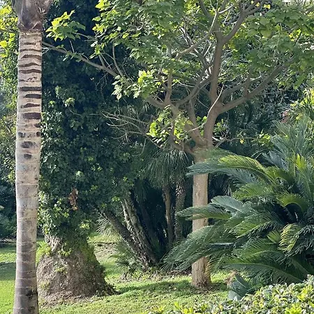 Apartment Situe Dans La Gallia Historique Cannes